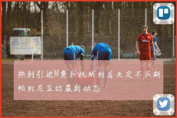 热刺引进M费和托纳利后决定不买断帕利尼亚的最新动态